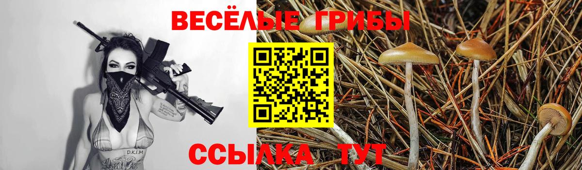 Галлюциногенные грибы прущие грибы Долгопрудный